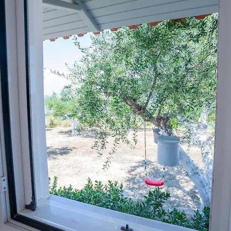 Viola's Petite Paradise *