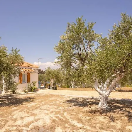 Viola's Petite Paradise Holiday home *