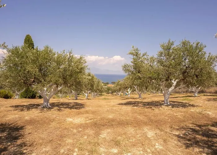 Viola's Petite Paradise Holiday home