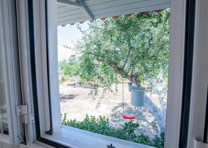 Viola's Petite Paradise *