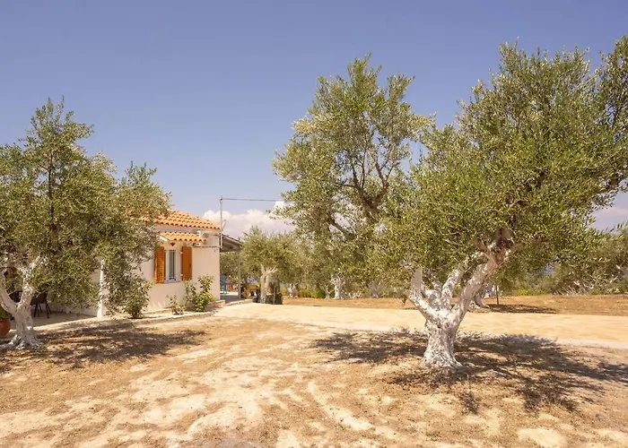 Viola's Petite Paradise Holiday home *